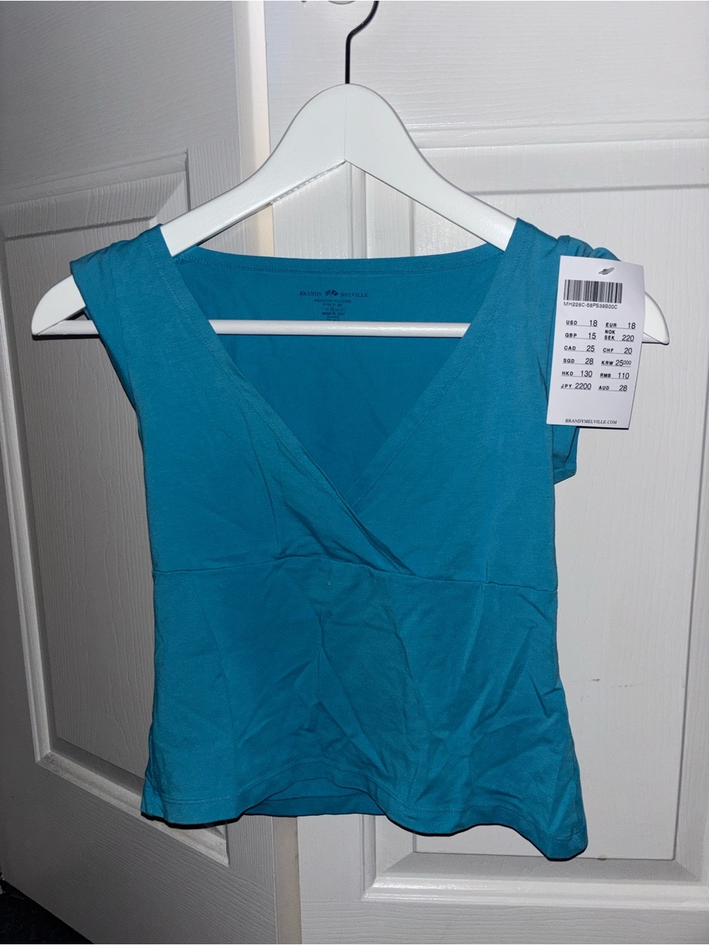 NWT Brandy Melville Blue Amara V-Neck Tank Top